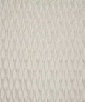 Pindler & Pindler Squiggle Dove Fabric