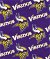 Fabric Traditions Minnesota Vikings NFL Fleece - Out of stock