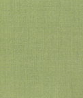 Pindler & Pindler Balboa Sprout Fabric