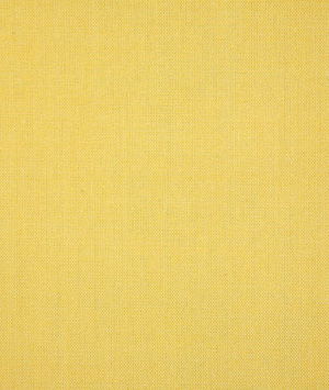 Pindler & Pindler Balboa Lemon Fabric