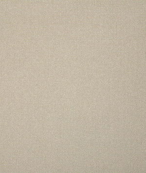 Pindler & Pindler Balboa Parchment Fabric