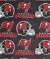Fabric Traditions Tampa Bay Buccaneers NFL Fleece - Out of stock