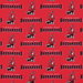 Fabric Traditions Tampa Bay Buccaneers NFL Cotton Fabric