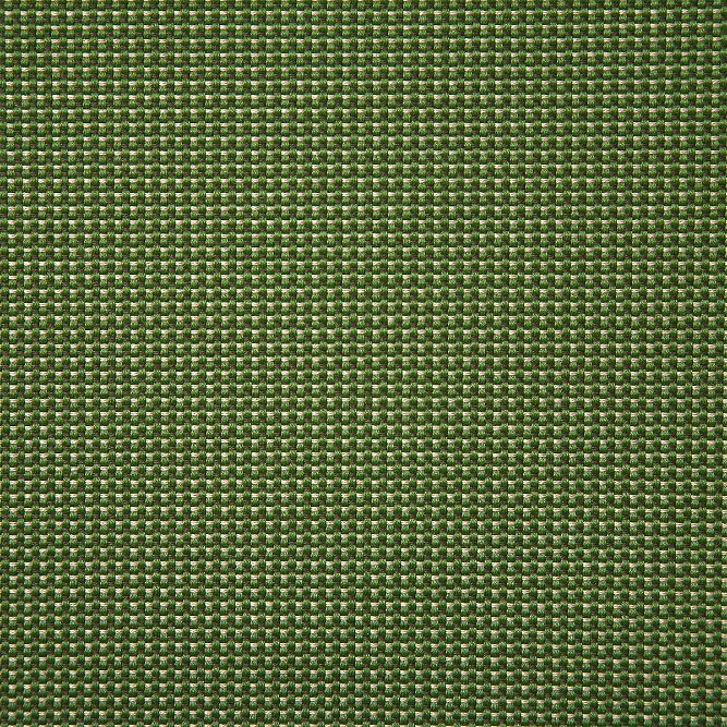 Pindler &amp; Pindler Korman Grass Fabric