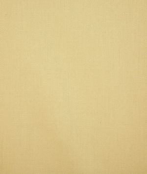 Pindler & Pindler Clifton Dijon Fabric
