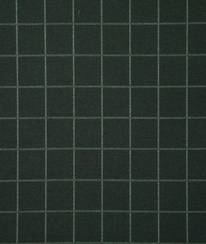 Pindler & Pindler Boxi Pine Fabric