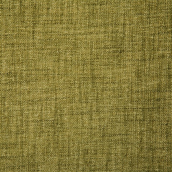 Pindler &amp; Pindler Durham Spring Fabric