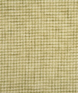 Pindler & Pindler Farley Spring Fabric