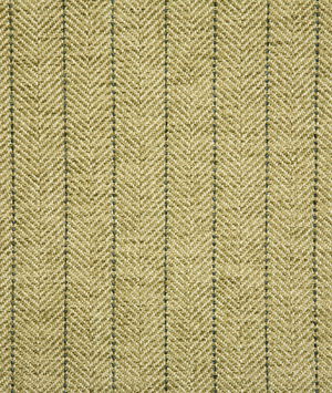 Pindler & Pindler Berkeley Spring Fabric