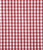 Pindler & Pindler Checkers Peppermint Fabric