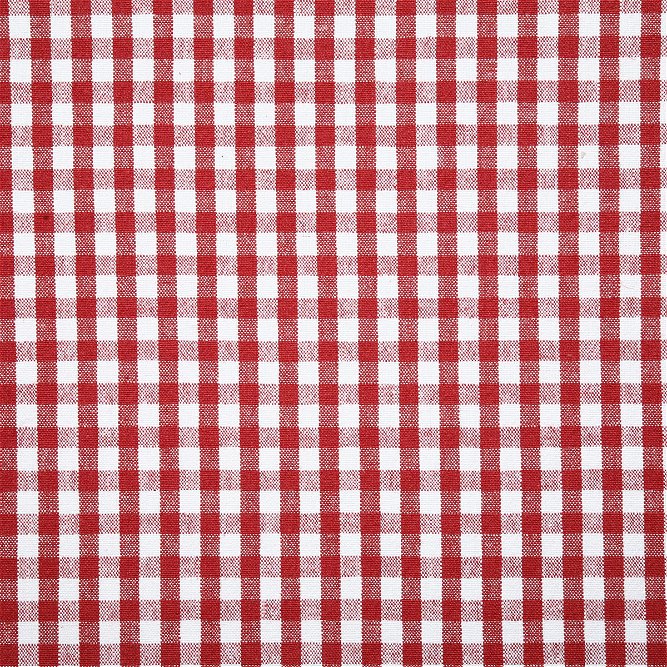 Pindler &amp; Pindler Checkers Peppermint Fabric