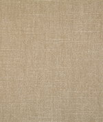 Pindler & Pindler Kennedy Champagne