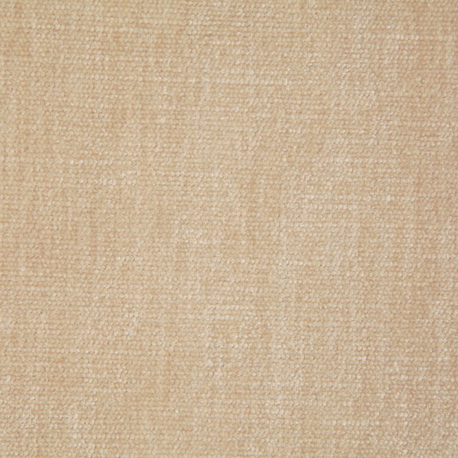 Pindler &amp; Pindler Kennedy Eggshell Fabric
