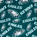 Fabric Traditions Philadelphia Eagles NFL Fleece Fabric