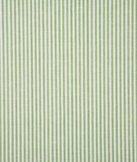 Pindler & Pindler Savannah Kiwi