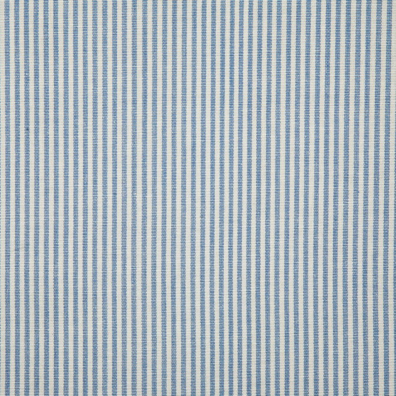 Pindler &amp; Pindler Savannah Sky Fabric