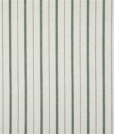 Pindler & Pindler Teagan Grass Fabric