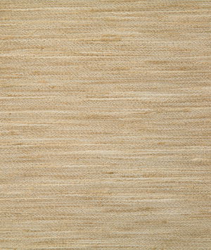 Pindler & Pindler Himalaya Tussah Fabric
