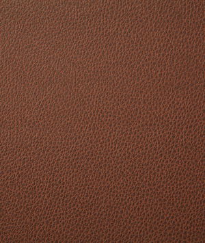 Pindler & Pindler Sanders Earth Fabric