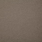 Pindler & Pindler Sanders Mushroom Fabric