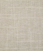 Pindler & Pindler Ward Dove