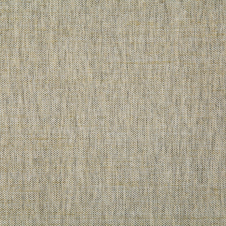 Pindler &amp; Pindler Beck Birch Fabric
