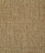Pindler & Pindler Beck Coin