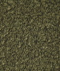Pindler & Pindler Cozy Olive Fabric