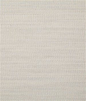 Pindler & Pindler Clearfield Canvas Fabric