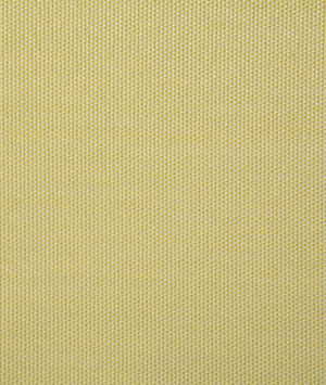 Pindler & Pindler Clearfield Citrus Fabric