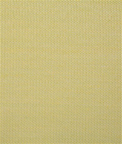 Pindler & Pindler Clearfield Citrus Fabric