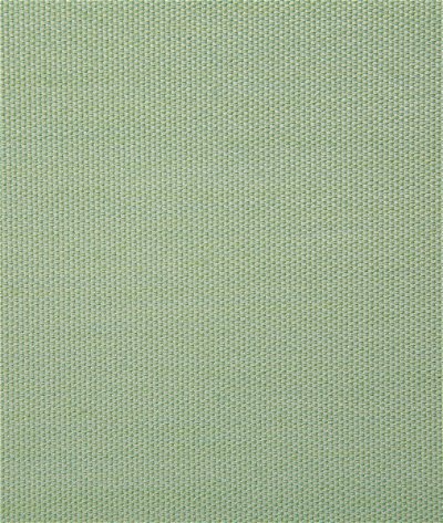 Pindler & Pindler Clearfield Palm Fabric