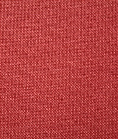 Pindler & Pindler Clearfield Peony Fabric