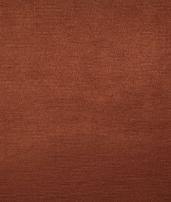 Pindler & Pindler Bronco Clay