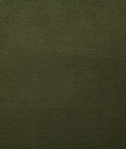 Pindler & Pindler Bronco Forest