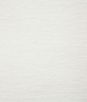 Pindler & Pindler Wade Tusk Fabric