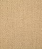 Pindler & Pindler Somers Butter Fabric
