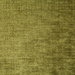 Pindler & Pindler Paris Fern Fabric