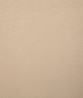 Pindler & Pindler Mustang Dune Fabric