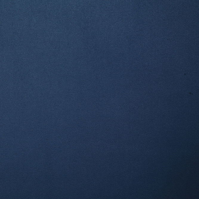 Pindler &amp; Pindler Mustang Midnight Fabric