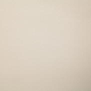 Pindler & Pindler Mustang Papyrus Fabric
