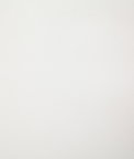 Pindler & Pindler Mustang White Fabric
