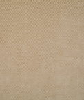 Pindler & Pindler Oscar Dune Fabric