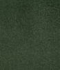 Pindler & Pindler Ravenwood Jungle Fabric
