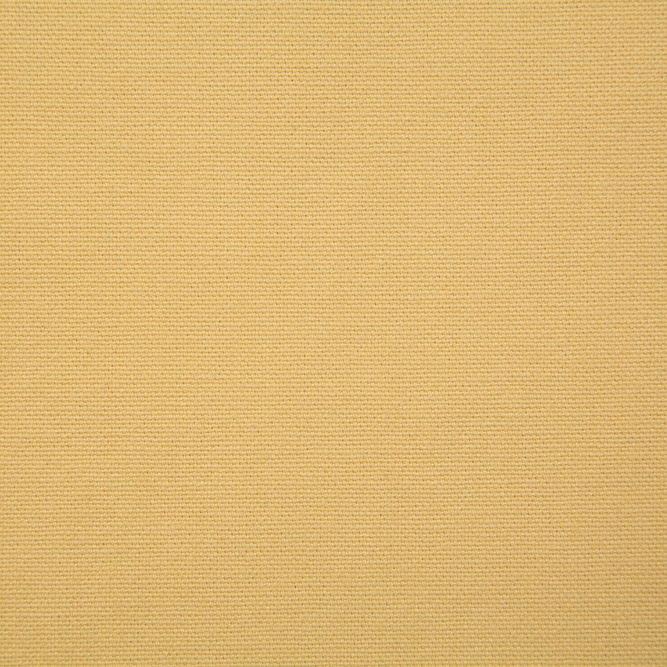 Pindler &amp; Pindler Hutton Dandelion Fabric