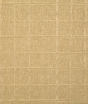 Pindler & Pindler Monique Golden Fabric