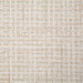 Pindler & Pindler Sally Coconut Fabric