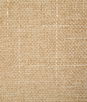 Pindler & Pindler Bassinger Golden Fabric