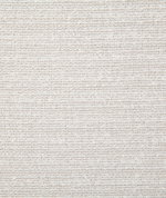 Pindler & Pindler Allen Snow