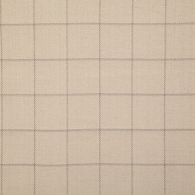 Pindler &amp; Pindler Danson Natural Fabric